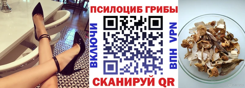 Галлюциногенные грибы прущие грибы  Купить  Новокузнецк 